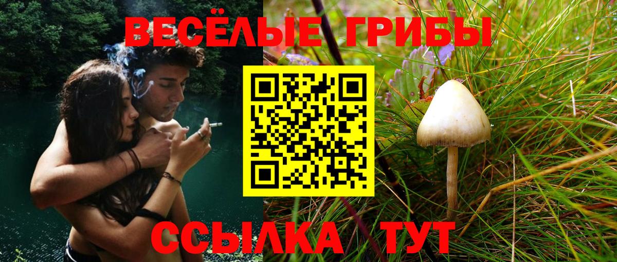Галлюциногенные грибы Cubensis Советский
