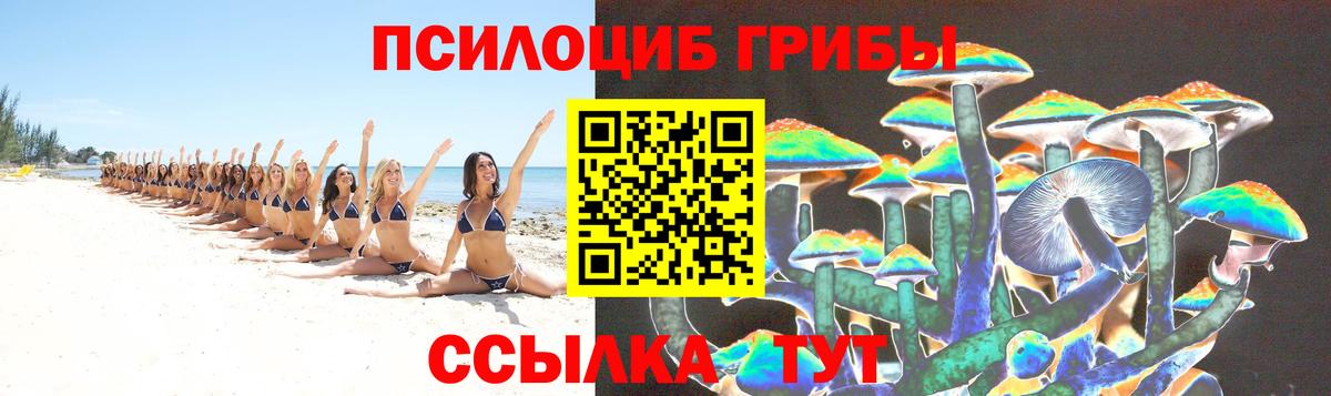 Псилоцибиновые грибы GOLDEN TEACHER  Вход с VPN  Советский 